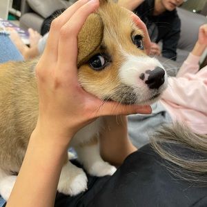 Meet your Posher, Aderson